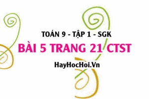 Bài 5 trang 21 Toán 9 tập 1 Chân trời sáng tạo SGK